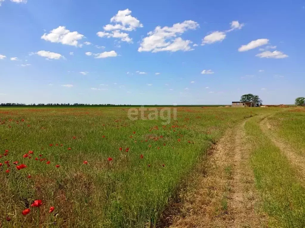 Участок в Крым, Сакский район, с. Уютное ул. Парковая (6.0 сот.) - Фото 0