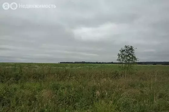Участок в Ломоносовский район, Копорское сельское поселение, село ... - Фото 1