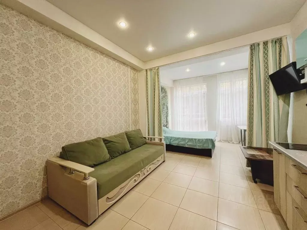 1-к кв. Краснодарский край, Сочи ул. Камо, 70 (32.6 м) - Фото 2