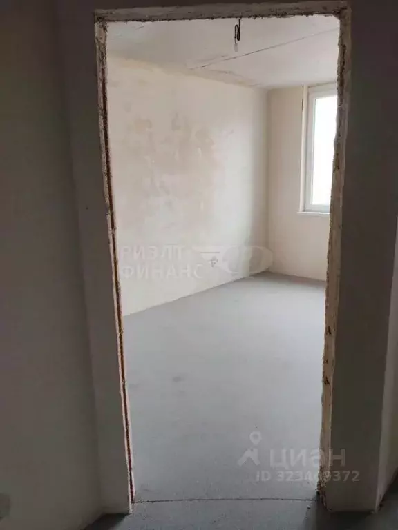 1-к кв. Калининградская область, Калининград Тихорецкая ул., 22Б (31.0 ... - Фото 2