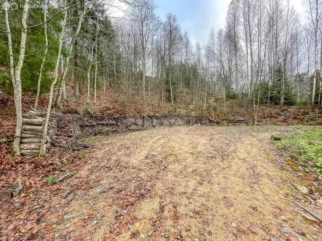 Участок в Всеволожский район, деревня Юкки (33.9 м) - Фото 2