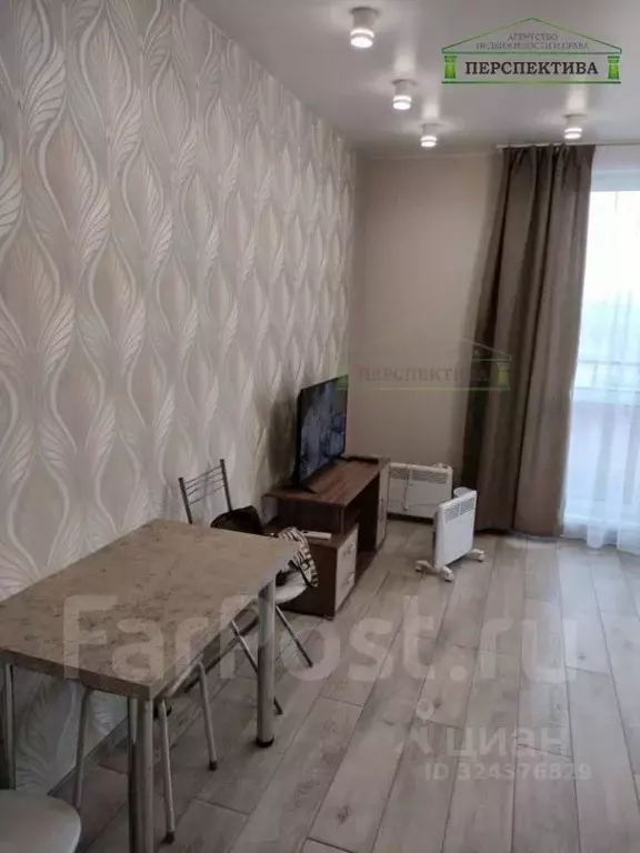 Студия Приморский край, Артем ул. Берзарина, 11 (30.6 м) - Фото 1