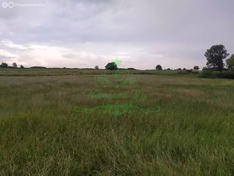 Участок в посёлок Виноградный, улица Дружбы (15 м) - Фото 1