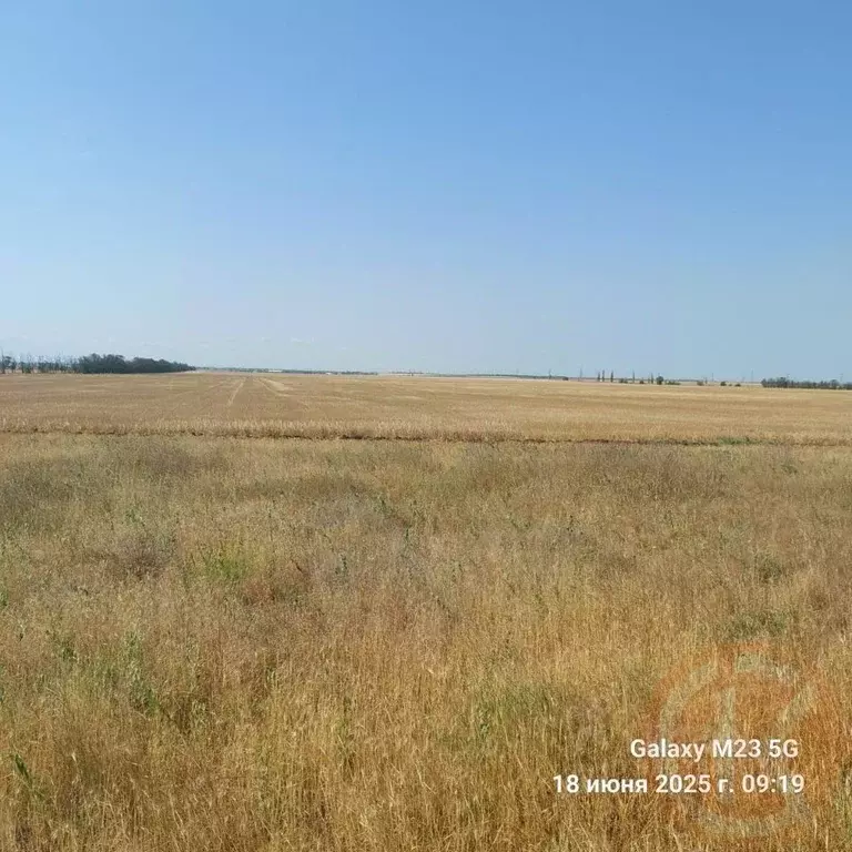 Участок в Крым, Черноморский район, с. Новоивановка  (6.24 сот.) - Фото 1