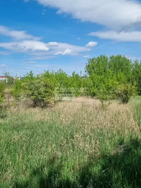 Дом 33,1 м на участке 17 сот. - Фото 1