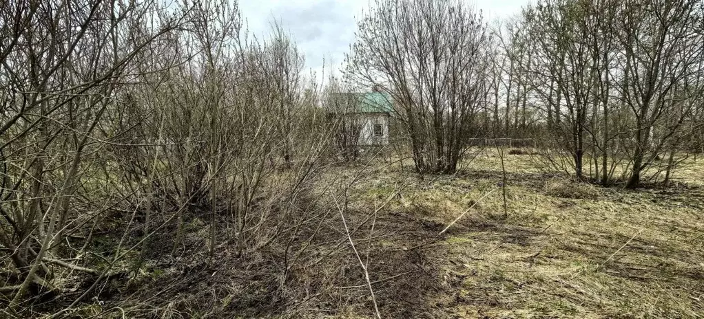 Участок в Московская область, Коломна городской округ, с. Чанки  (15.0 ... - Фото 1