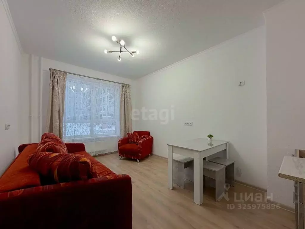 Студия Ярославская область, Ярославль ул. Дядьковская, 16А (21.3 м) - Фото 2