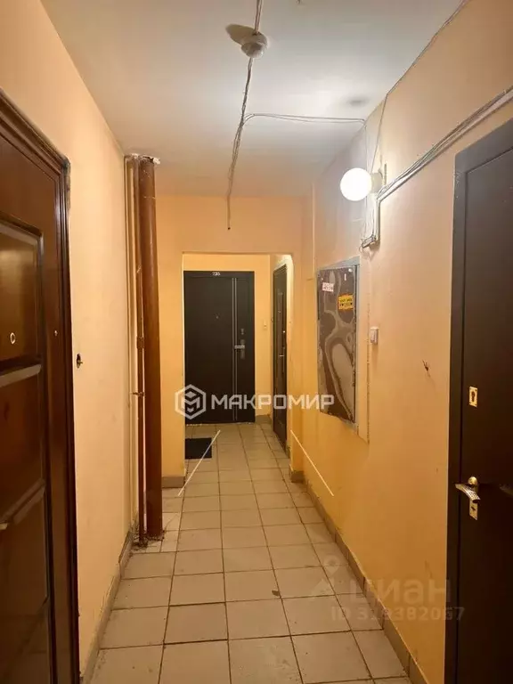Студия Новосибирская область, Новосибирск Горский мкр, 63/1 (22.2 м) - Фото 0
