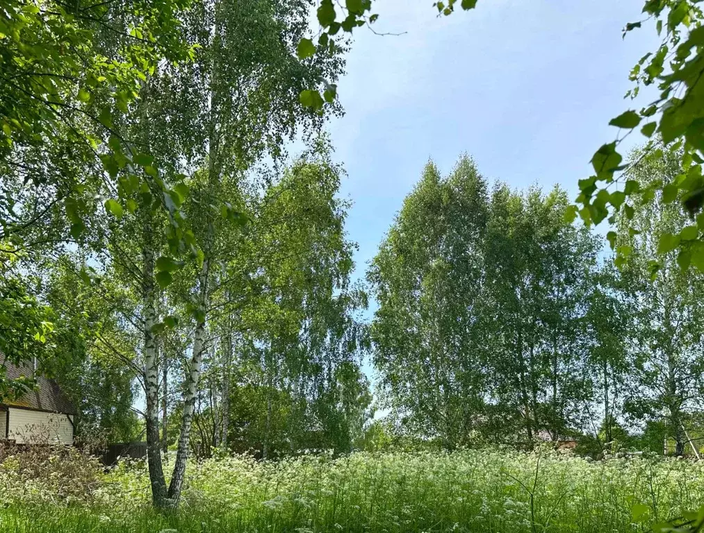 Участок в Калужская область, Тарусский муниципальный округ, д. ... - Фото 1