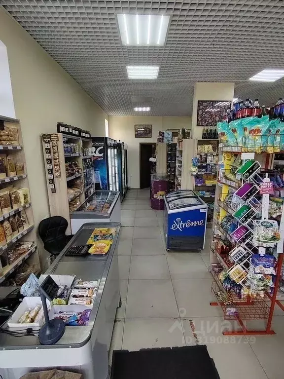 Торговая площадь в Московская область, Домодедово городской округ, д. ... - Фото 1