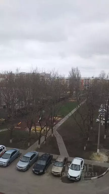 1-к кв. Белгородская область, Строитель Яковлевский городской округ, ... - Фото 1