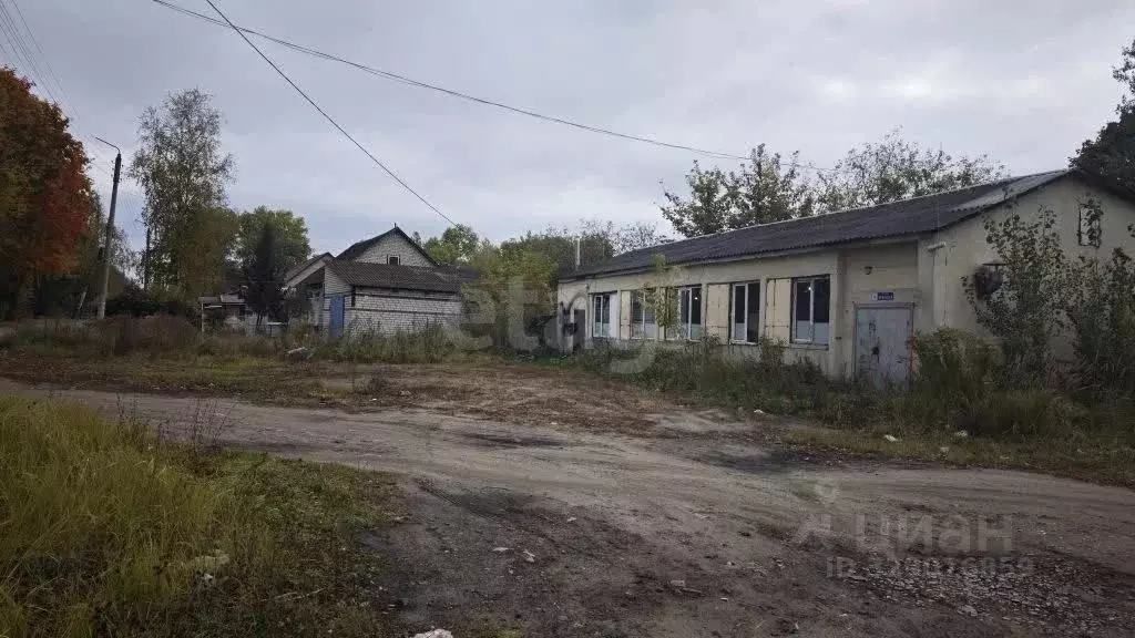 Помещение свободного назначения в Брянская область, Дятьковский район, ... - Фото 1