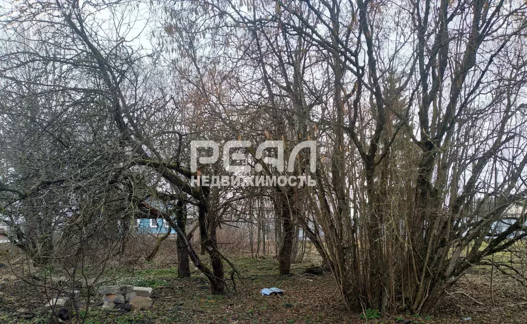 Участок в Волосовский район, Большеврудское сельское поселение, ... - Фото 2