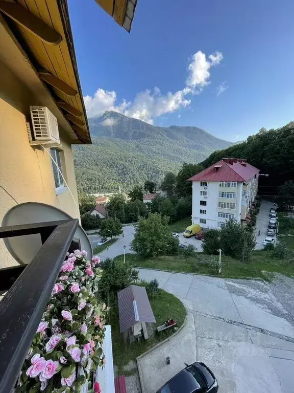 2-к кв. Краснодарский край, Сочи Красная Поляна пгт, ул. Защитников ... - Фото 2