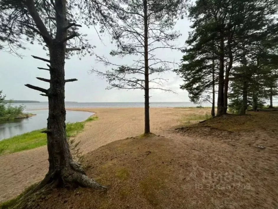 Участок в Карелия, Прионежский район, с. Шелтозеро  (15.0 сот.) - Фото 0