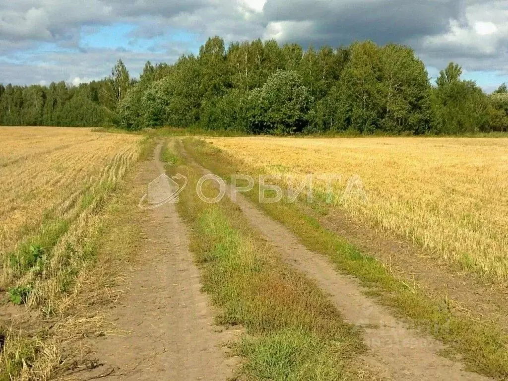 Участок в Тюменская область, Тюменский район, с. Горьковка Сибирская ... - Фото 1