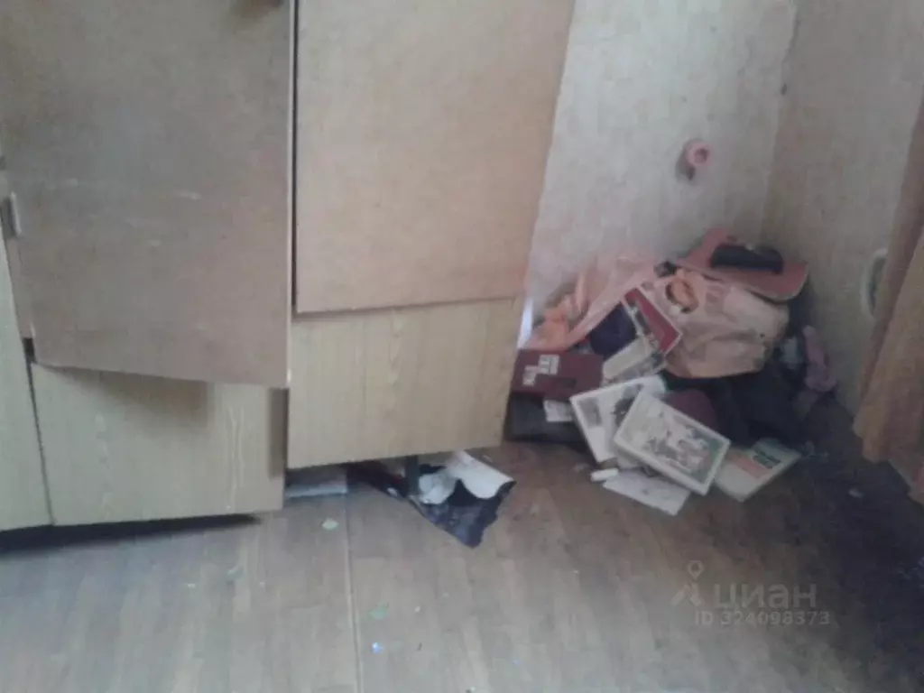 Помещение свободного назначения в Рязанская область, Касимов Приокский ... - Фото 2