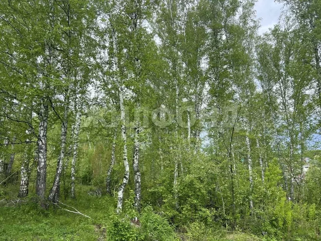Участок в Новосибирская область, Новосибирск Инюшенская ул., 42А (9.94 ... - Фото 0
