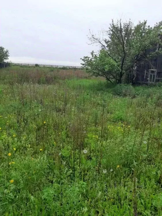 Участок в Хакасия, Усть-Абаканский район, с. Калинино ул. Коммунаров ... - Фото 1