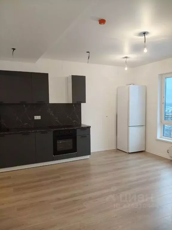 2-к кв. Ленинградская область, Всеволожский район, д. Новое Девяткино ... - Фото 1