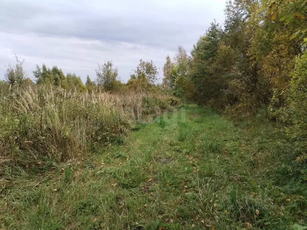 Участок в Вологодская область, Вологда Акация садоводческое ... - Фото 1