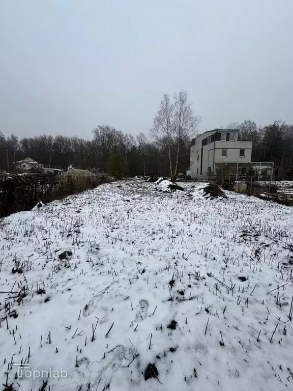 Участок в Калининградская область, Калининград Дивное СНТ, ул. Лесная, ... - Фото 1