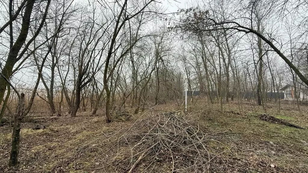 Участок в Ростовская область, Аксайский район, Старочеркасская ст-ца ... - Фото 0