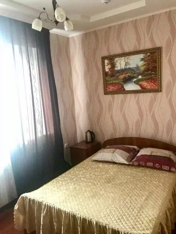Комната Самарская область, Чапаевск ул. Ленина, 97А (28.0 м) - Фото 2