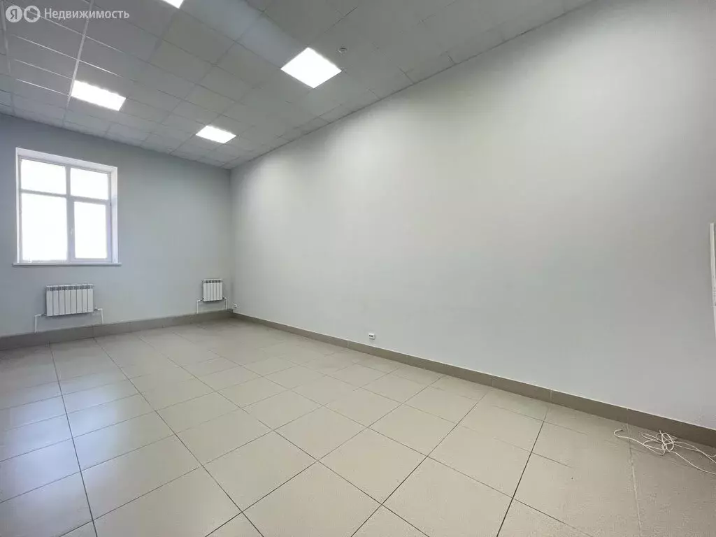 Офис (39.1 м) - Фото 2