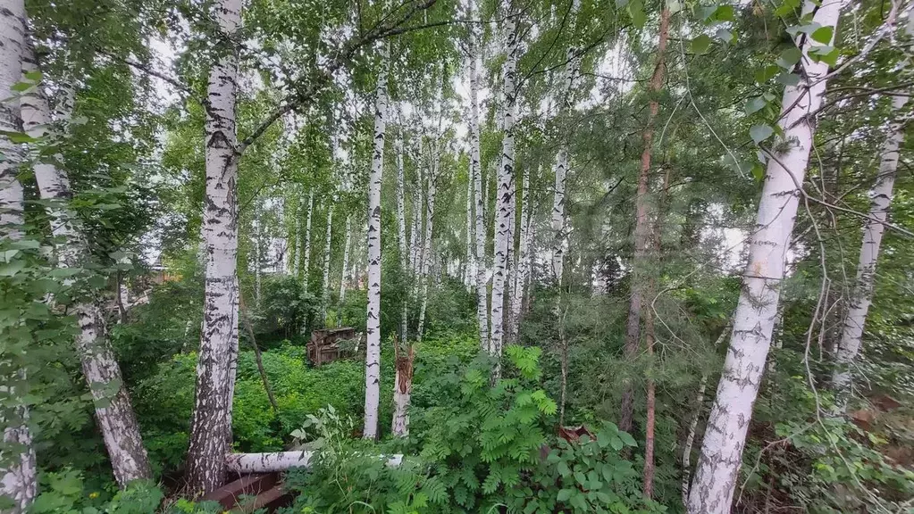 Участок 16,8 сот. (СНТ, ДНП) - Фото 1