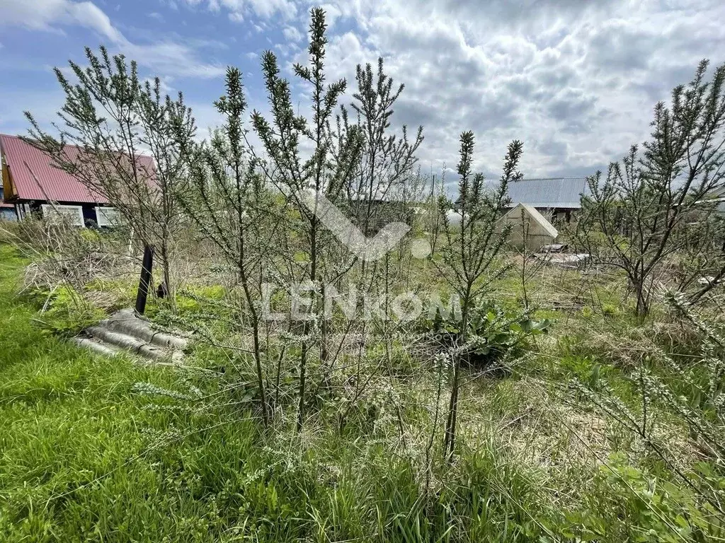 Участок в Удмуртия, Воткинский район, Редуктор СНТ ул. 13-я, 355 (6.68 ... - Фото 1