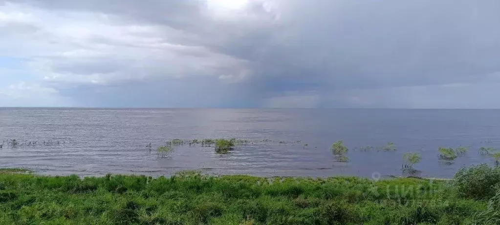 Участок в Новгородская область, Старорусский район, Наговское с/пос, ... - Фото 2