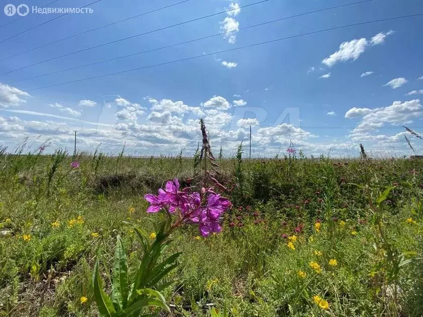 Участок в Тюменский район, деревня Елань (8 м) - Фото 0