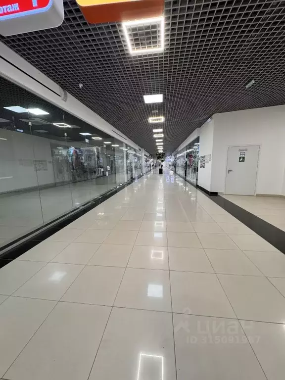 Торговая площадь в Волгоградская область, Волгоград ул. Курчатова, 3 ... - Фото 1