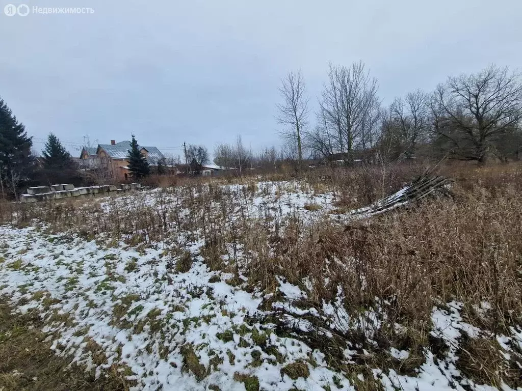 Участок в Московская область, городской округ Луховицы, деревня ... - Фото 1