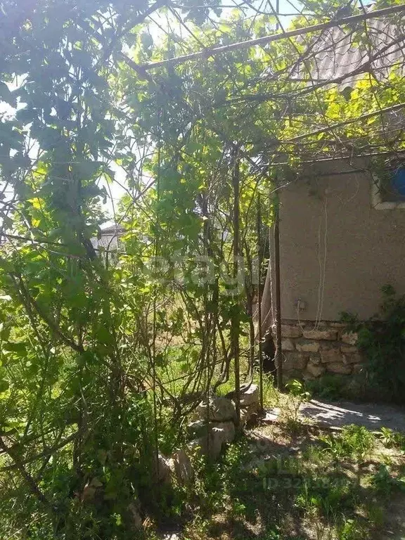 Дом в Крым, Черноморское пгт ул. Тельмана, 16 (132 м) - Фото 2