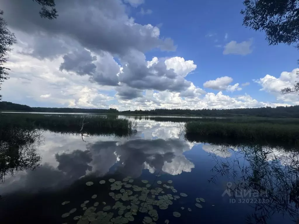Участок в Смоленская область, Смоленский муниципальный округ, ... - Фото 1