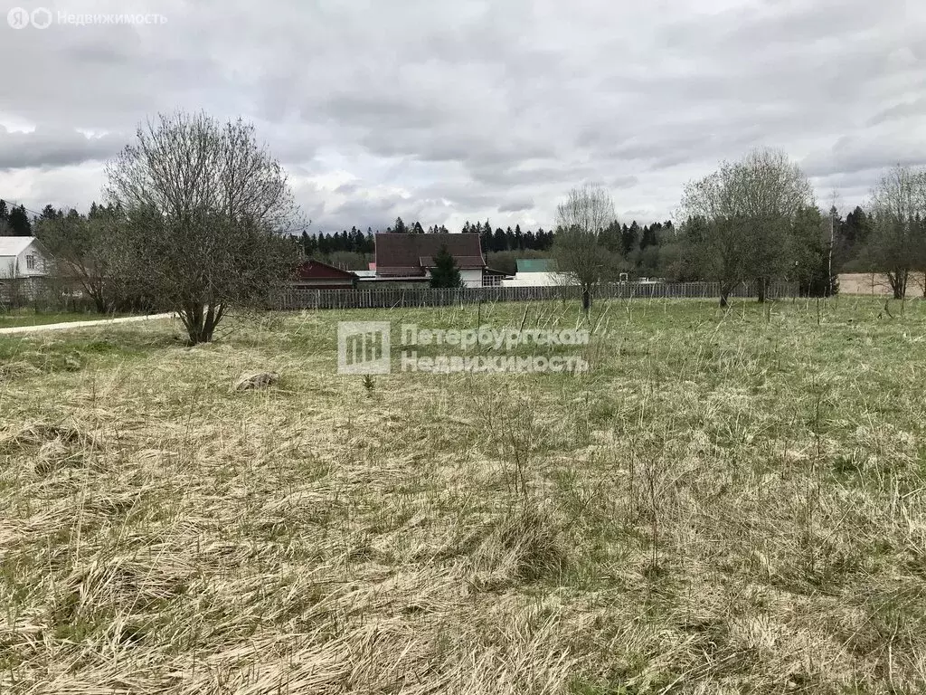 Участок в Волосовский район, Бегуницкое сельское поселение, деревня ... - Фото 1