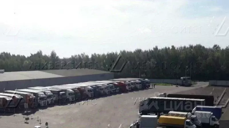 Склад в Московская область, Богородский городской округ, имени ... - Фото 1