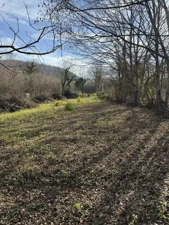 Участок в Краснодарский край, Апшеронский район, пос. Новые Поляны ул. ... - Фото 2