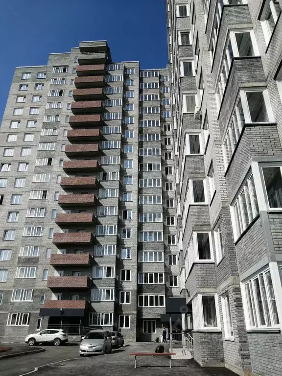 Студия Новосибирская область, Бердск ул. Ленина, 114 (24.0 м) - Фото 2