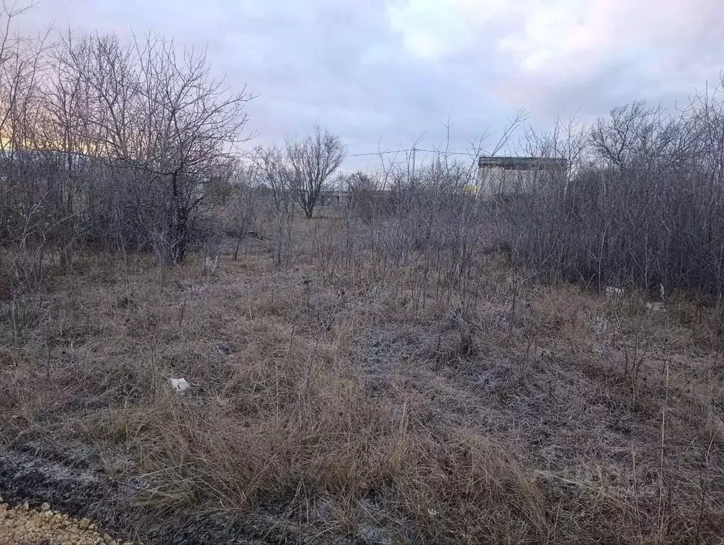 Участок в Крым, Симферопольский район, Трудовское с/пос, СНТ Медик ТСН ... - Фото 2