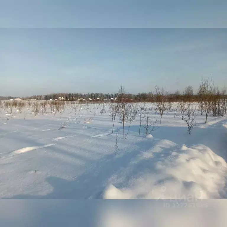 Участок в Ленинградская область, Лужский район, Мшинское с/пос, ... - Фото 2