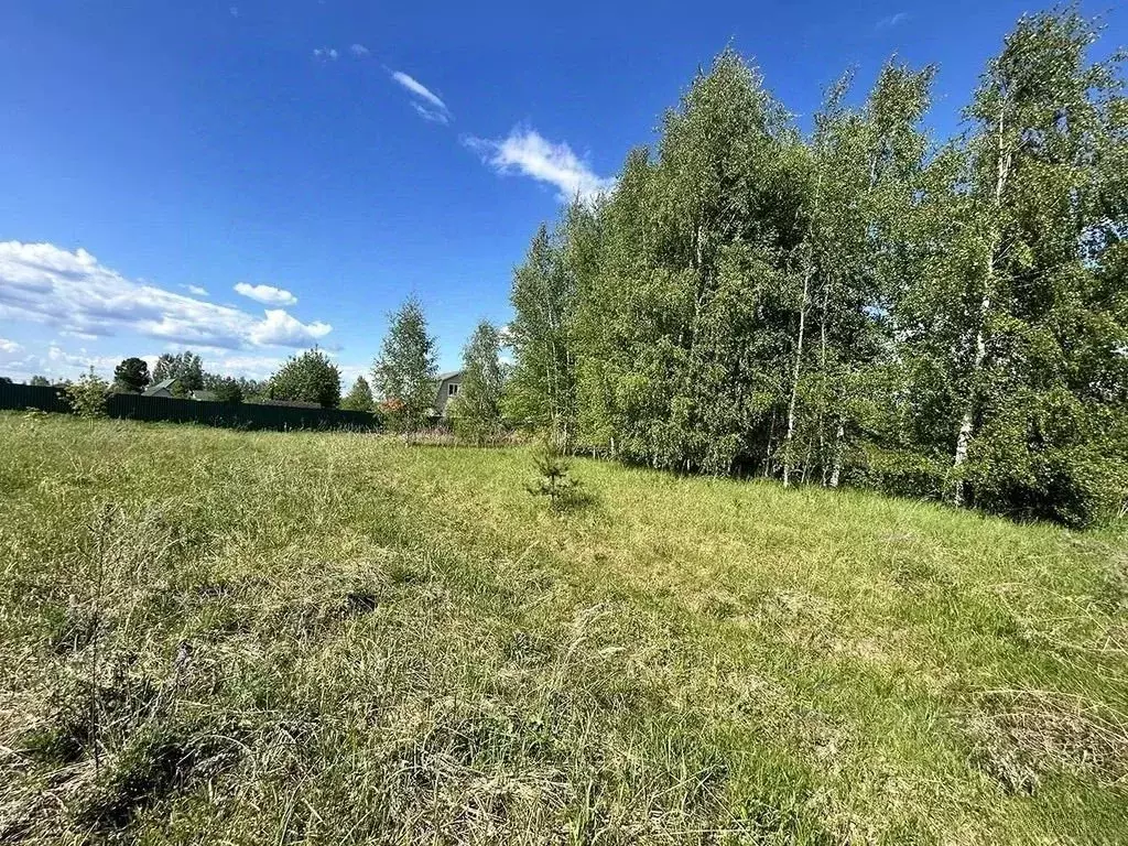 Участок в Московская область, Ступино городской округ, с. Старая Ситня ... - Фото 2