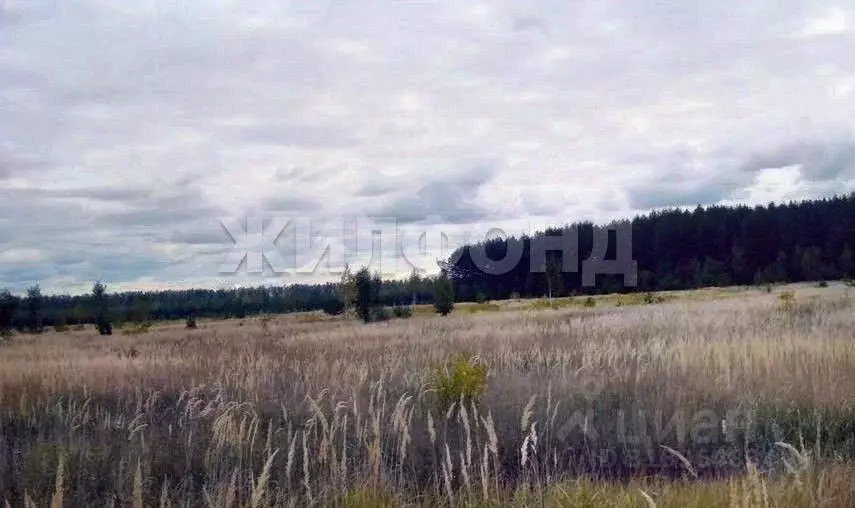Участок в Новосибирская область, Искитимский район, с. Улыбино ... - Фото 1