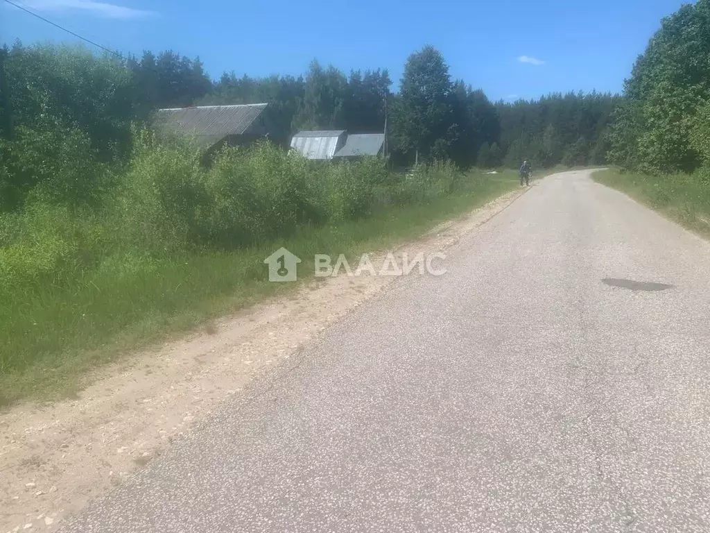 Участок в Владимирская область, Суздальский район, Селецкое ... - Фото 1