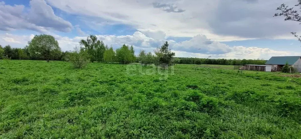 Участок в Владимирская область, Судогодский район, Мошокское ... - Фото 0