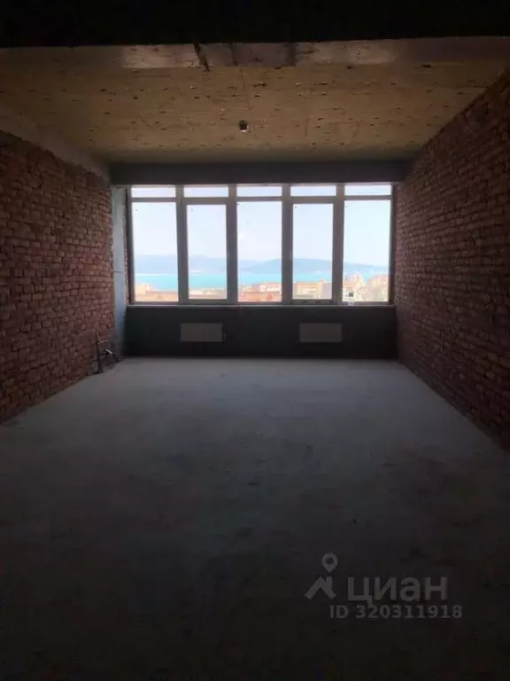 Помещение свободного назначения в Краснодарский край, Новороссийск ул. ... - Фото 1