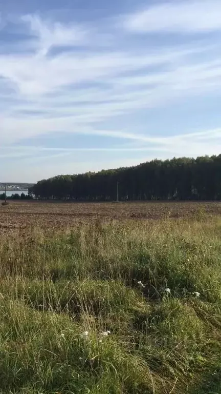 Участок в Нижегородская область, Чкаловск городской округ, д. Высокая  ... - Фото 1