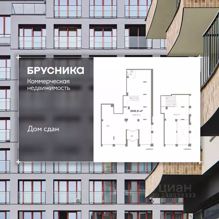 Помещение свободного назначения в Новосибирская область, Новосибирск ... - Фото 1